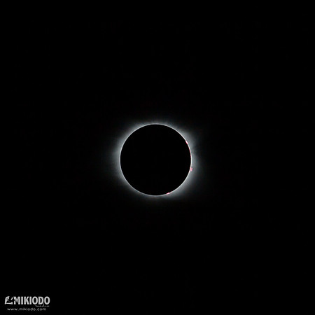 mikiodo170819_8354_LR
