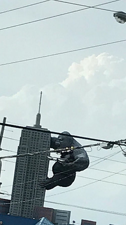 mikiodo170819_5382_LR