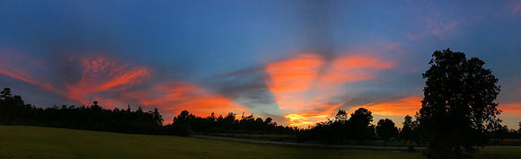 mikiodo170819_5464_LR