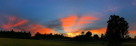 mikiodo170819_5465_LR