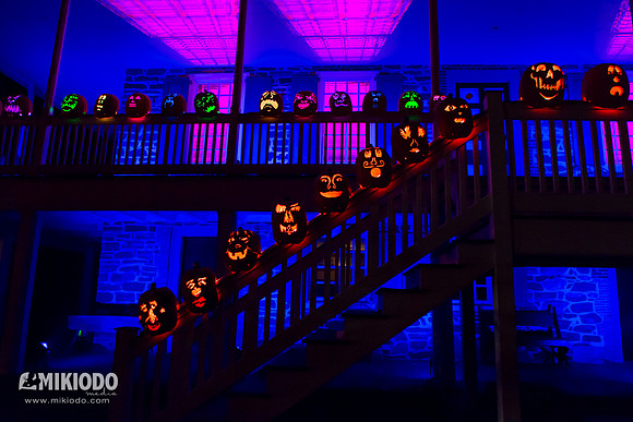 mikiodo151021_5338_LR