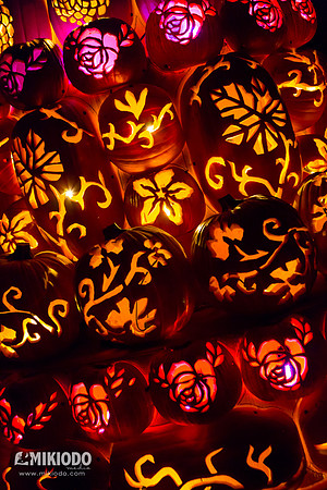mikiodo151021_5491_LR