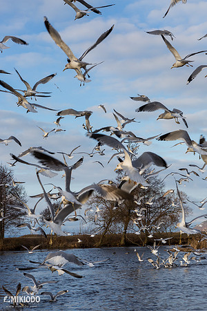 mikiodo160210_sweden_3436_LR