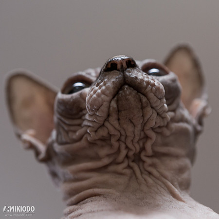 mikiodo161124_1644_LR