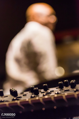 mikiodo170115_holidelic_7241_LR
