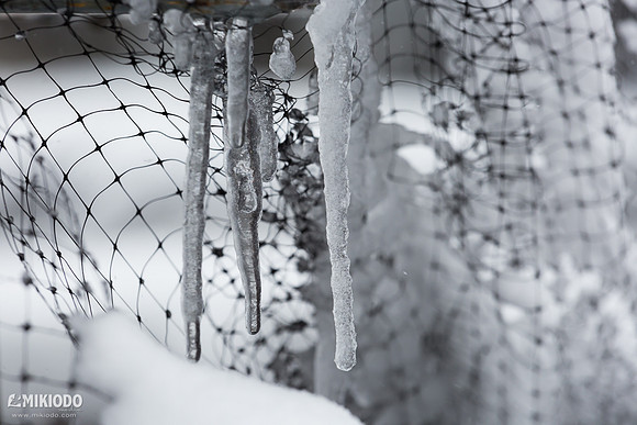 mikiodo170209_snowstorm_2469_LR