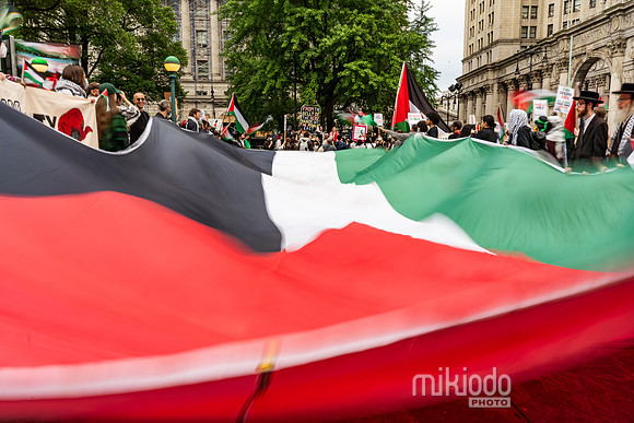mikiodo250515_2478_LR