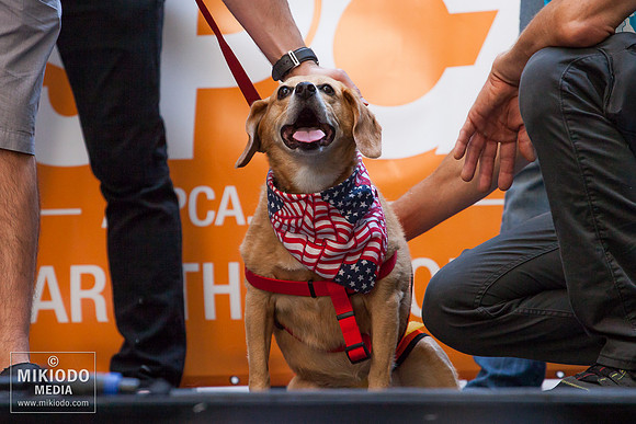 Broadway Barks 2014