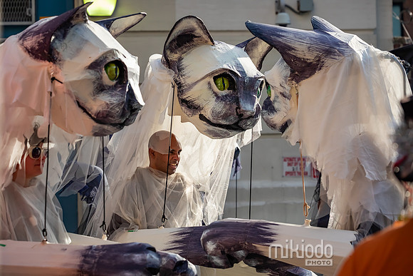 mikiodo241031_8331_LR