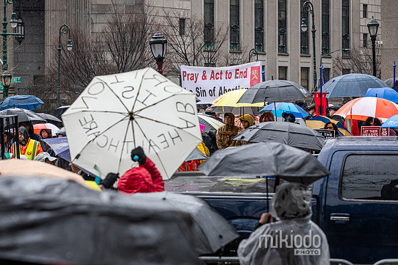 mikiodo240323_1581_LR