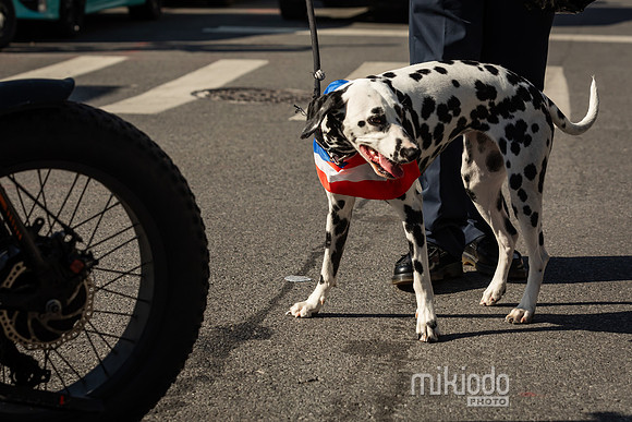mikiodo240601_1529_LR