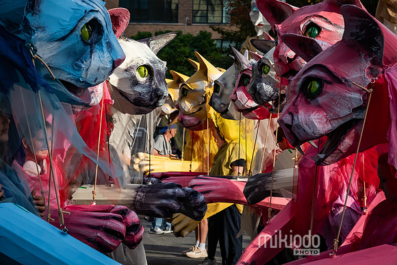 mikiodo241031_8361_LR
