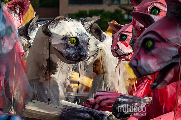 mikiodo241031_8358_LR