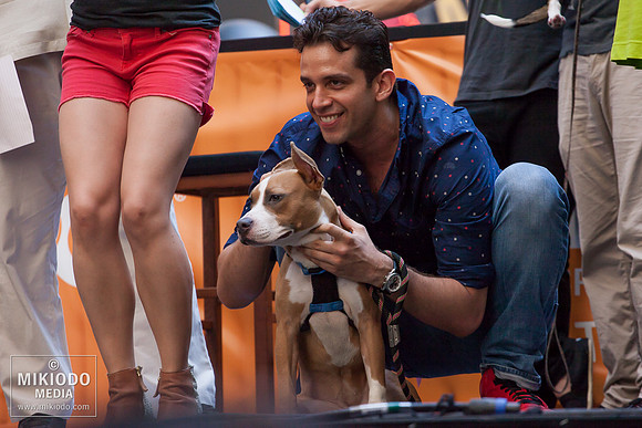 Broadway Barks 2014