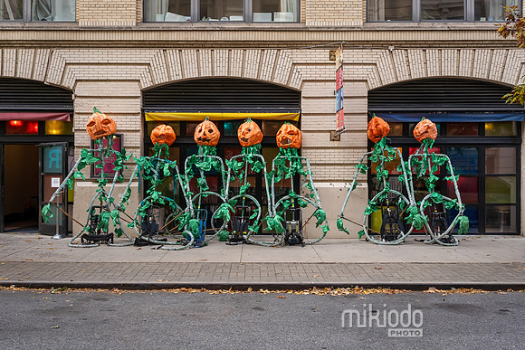 mikiodo241031_02586_LR