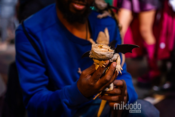 mikiodo241031_03905_LR