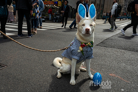 mikiodo250420_03252_LR
