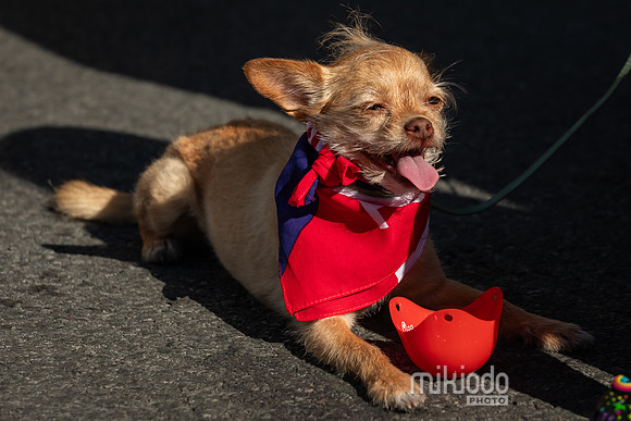 mikiodo240601_1477_LR