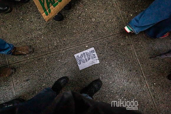 mikiodo240328_08086_LR