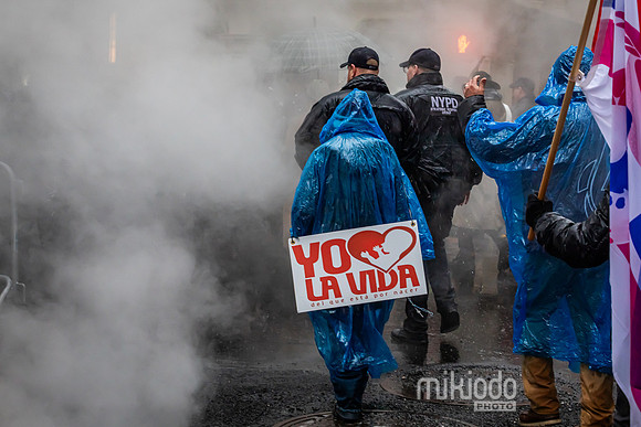 mikiodo240323_1676_LR