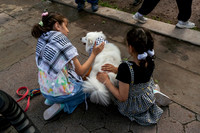 mikiodo250515_1725_LR