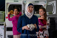 laundry-proofs