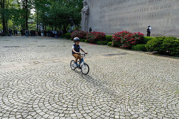 mikiodo250515_1739_LR