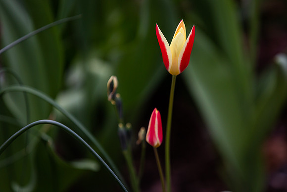 mikiodo200420_2514_LR