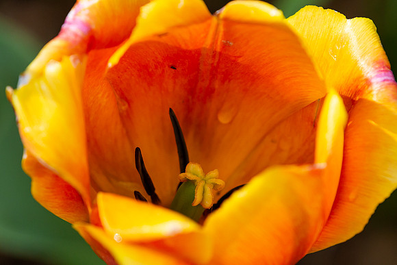 mikiodo200421_2637_LR