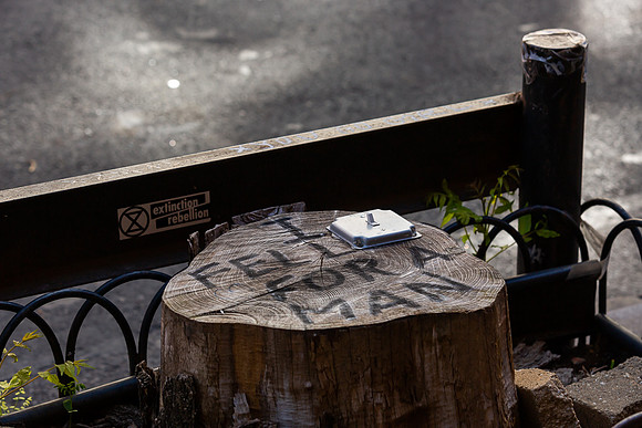 mikiodo200502_3906_LR