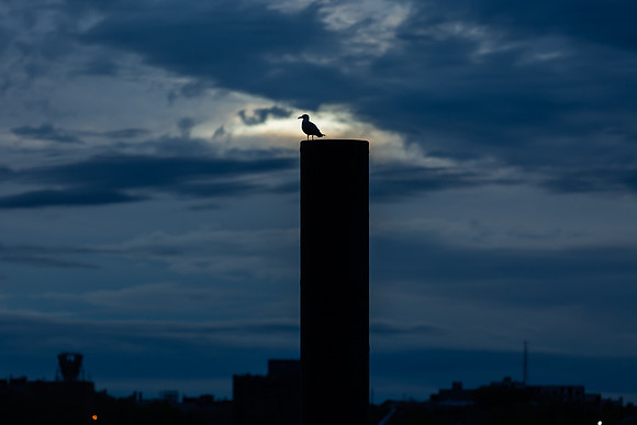 mikiodo200516_5658_LR
