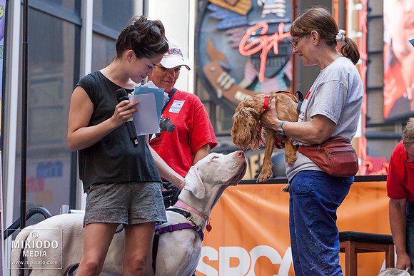 Broadway Barks 2014