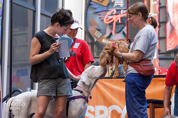 Broadway Barks 2014
