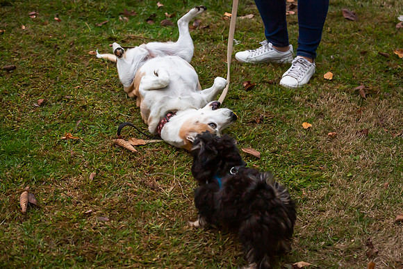 mikiodo201012_4756_LR
