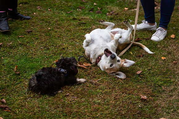 mikiodo201012_4758_LR