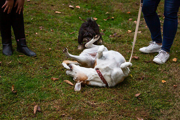mikiodo201012_4759_LR