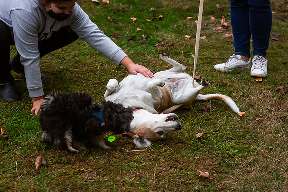 mikiodo201012_4760_LR