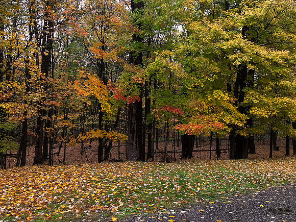 mikiodo201013_2639_LR