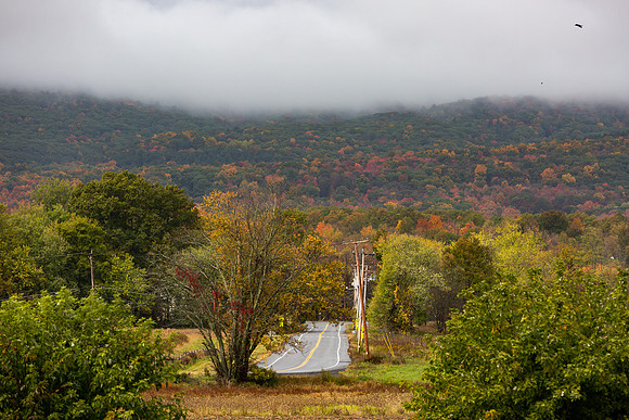 mikiodo201013_4778_LR