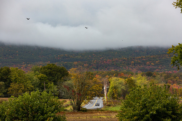 mikiodo201013_4779_LR