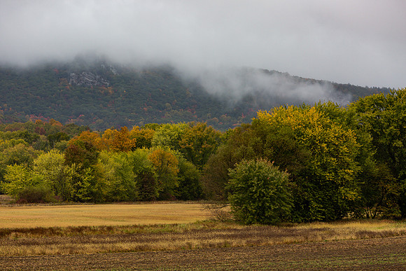 mikiodo201013_4782_LR