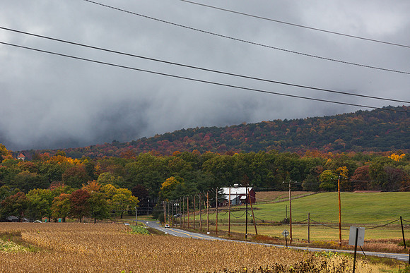 mikiodo201013_4784_LR