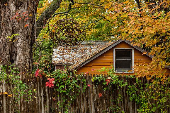 mikiodo201013_4808_LR