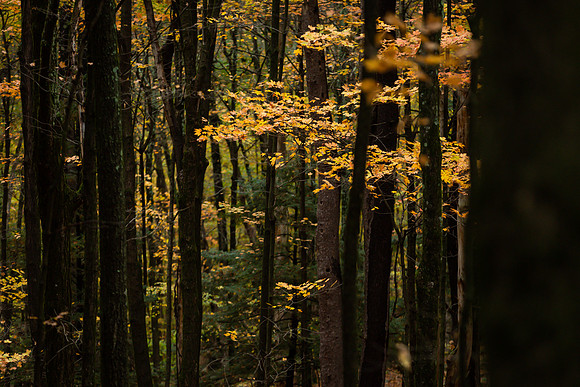 mikiodo201013_4828_LR