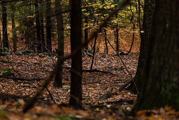 mikiodo201013_4832_LR