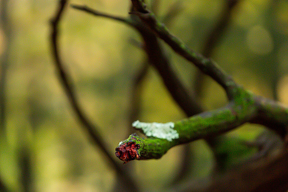 mikiodo201013_4837_LR
