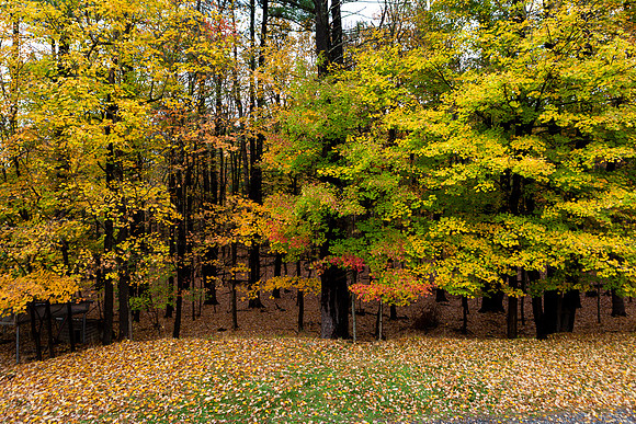 mikiodo201013_4911_LR