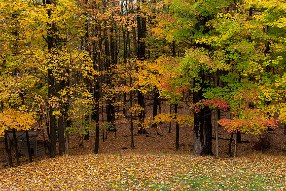 mikiodo201013_4915_LR