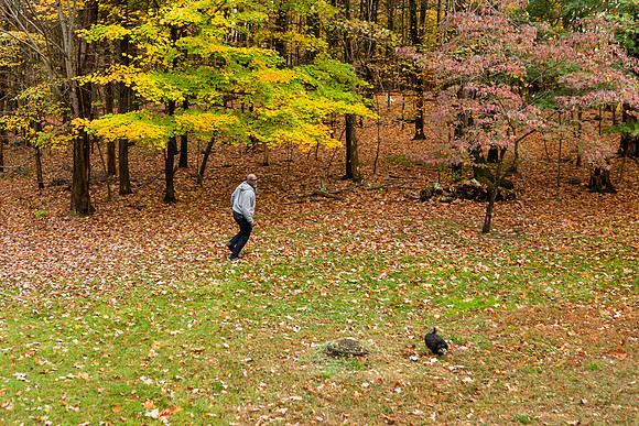 mikiodo201013_4919_LR