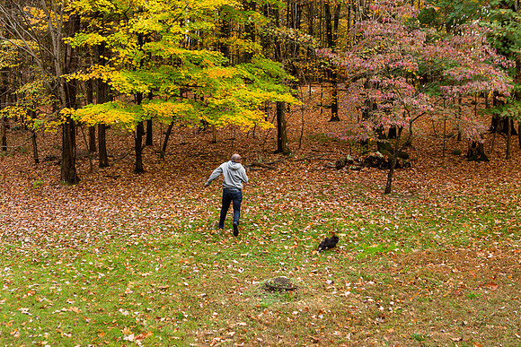 mikiodo201013_4920_LR